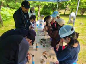 【活動報告】森の冒険！少年教室を行いました！ー海森学校ー