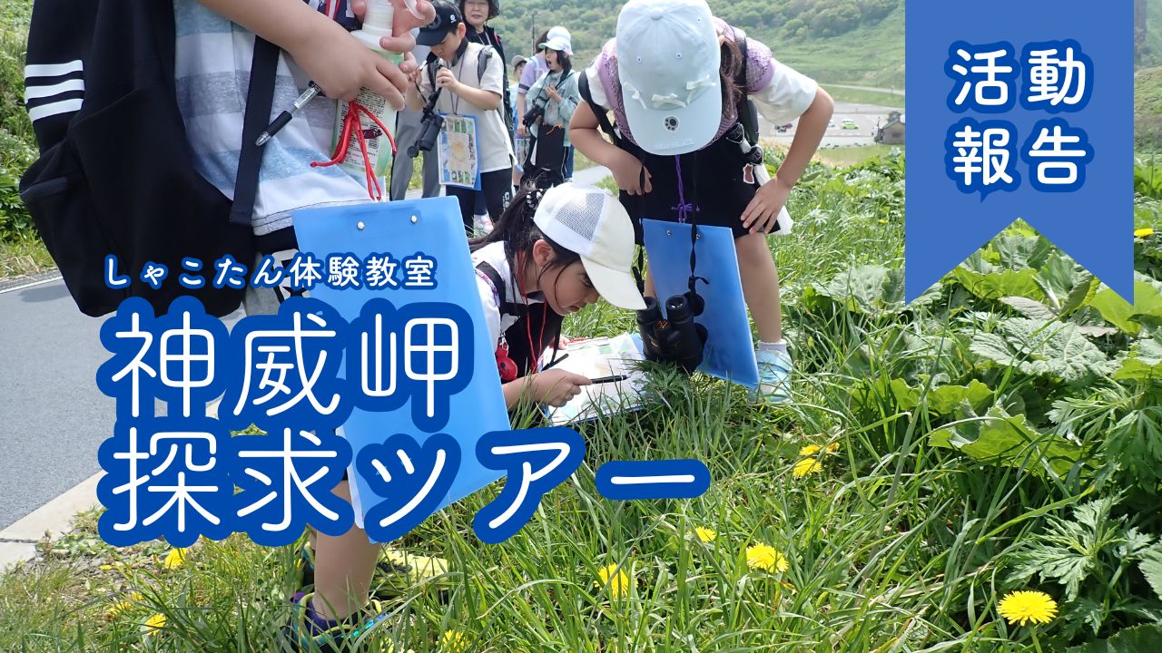 【活動報告】神威岬探求ツアーを開催しました