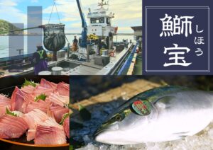 【大盛況で終了しました(11月1日開催)】積丹ブランド鰤『鰤宝』を丸ごと味わう、年に一度の特別ツアー！定置網荷揚げ見学会＆鰤宝をまるごと一匹いただく会