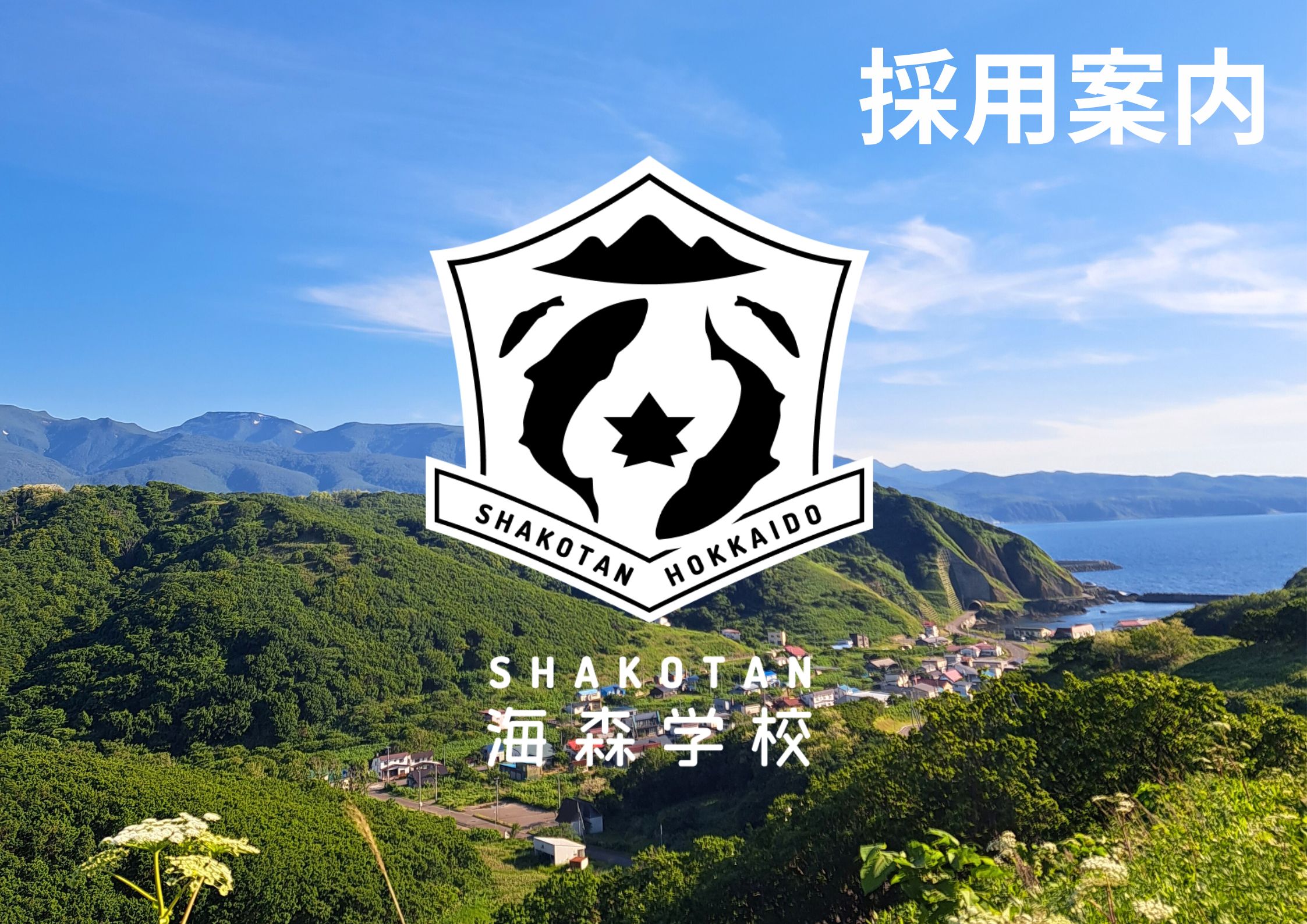 【採用情報】自然体験・環境教育スタッフ募集中