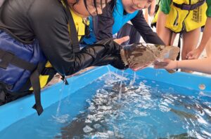 【メディア情報】 漁業者の取り組みがJSSAチャンピオンに輝き、WEBメディア「SEAFOODLEGACY TIMES」に掲載されました(part2)