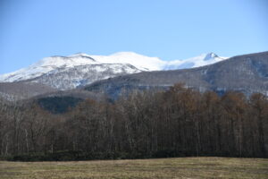 【うみもり日記】Vol.3春の気配でにぎやかです